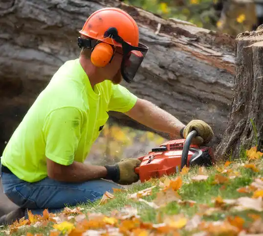 tree services Pennock